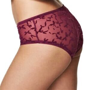 New! Victoria's Secret Bow Mesh Hiphugger Panties